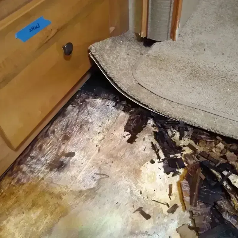 Wood Floor Water Damage in South Bend, IN